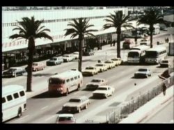 'Sweet Taste of Honey' screenshot nº 1
