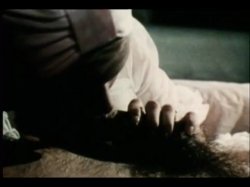 'Sweet Taste of Honey' screenshot nº 113