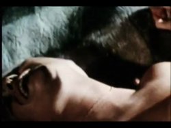 'Sweet Taste of Honey' screenshot nº 123