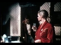 'Sweet Taste of Honey' screenshot nº 22