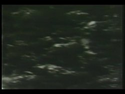 'Sex Mountain' screenshot nº 4