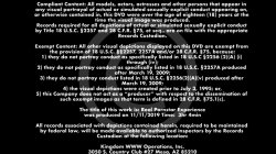 'Real Pornstar Experience' screenshot nº 1