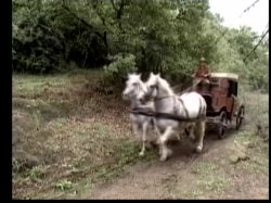Captura de 'Selvaggio West (Italian)' nº 77