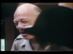 'Seduction of Lacey Bodin' screenshot nº 132