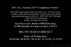 Captura de 'Big Tit Mama's House 3' nº 1