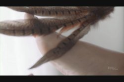 Captura de 'Soft Touch, A' nº 107