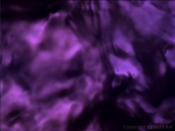 Captura de 'Wicked Auditions #1' nº 101