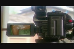 'Land of MILF and Honey, The' screenshot nº 17