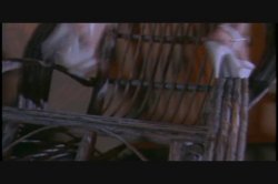 'Land of MILF and Honey, The' screenshot nº 48