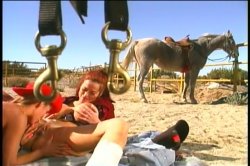 'Busty Conquests Of Donita Dunes' screenshot nº 18