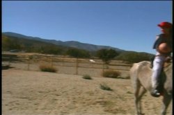 'Busty Conquests Of Donita Dunes' screenshot nº 3