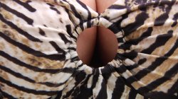 Captura de 'Curvy Girls Vol. 4' nº 64