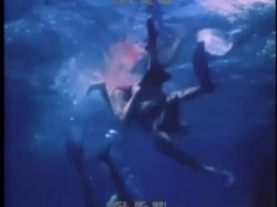 Captura de 'Lure of the Triangle' nº 102