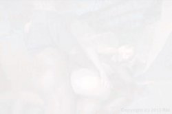 '2 Freaky 4 U 2' screenshot nº 139