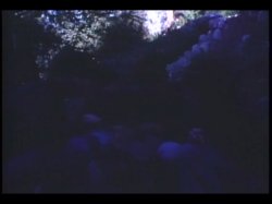 'Frat House' screenshot nº 59