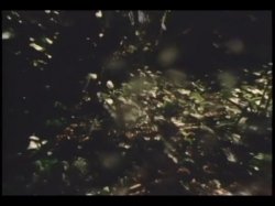 'Frat House' screenshot nº 95