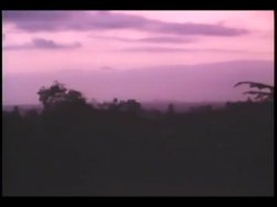 'Frat House' screenshot nº 137