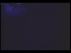 'Frat House' screenshot nº 140