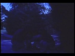 'Frat House' screenshot nº 17