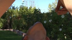 Captura de 'I Wanna Buttfuck Your Daughter 14' nº 59