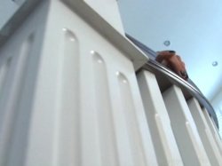Captura de 'Best Of Facesitting P.O.V. Vol. 6' nº 81