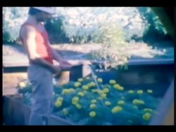 'Diamond Collection' screenshot nº 79