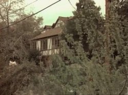 Captura de 'VCA Classics: Classic Bush' nº 32