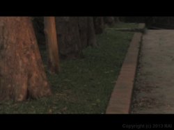 'Vivid's Backdoor Border Patrol' screenshot nº 98