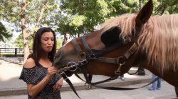 Captura de '24 Hrs Avec Tera Patrick' nº 103
