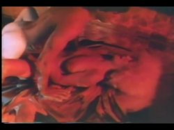 Captura de 'Laura' nº 40