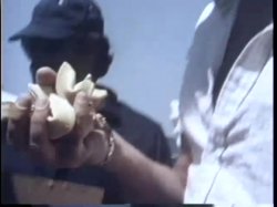 Captura de 'China and Silk' nº 19