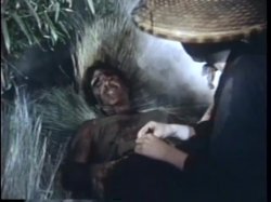 Captura de 'China and Silk' nº 2