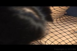 Captura de 'Asian 3 Way' nº 132