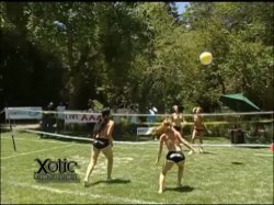 Captura de 'Porn Stars On DVD Vol. 2' nº 54