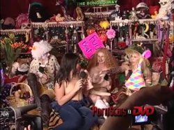 Captura de 'Porn Stars On DVD Vol. 2' nº 125