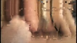 'White Bitch Sandwich' screenshot nº 87