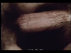 Captura de 'Inside Georgina Spelvin' nº 82