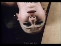 Captura de 'Inside Georgina Spelvin' nº 98