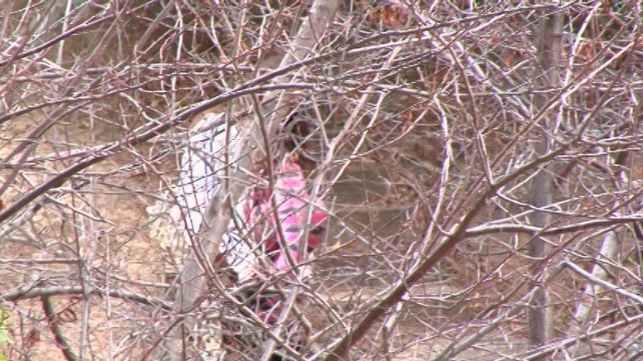 Blonde Stripper Gets Fucked By Black Dude