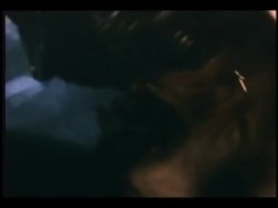 Captura de 'Marianne Bouquet' nº 36