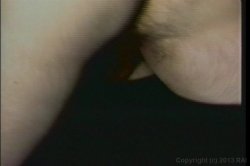 'Muffmania 5' screenshot nº 131