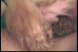 'Muffmania 5' screenshot nº 18