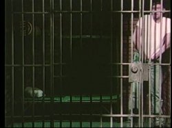 'Silk Stockings - The Black Widow' screenshot nº 4
