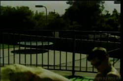 'Knockers 2' screenshot nº 40