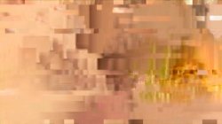 Captura de 'Anal Soccer Girls' nº 116