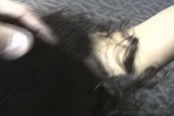 Captura de 'She's Gotta Be 18' nº 127