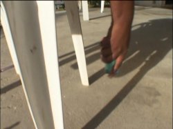'Juicy Wet Asses' screenshot nº 32