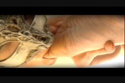 Captura de 'Belladonna's Party Of Feet 3' nº 138