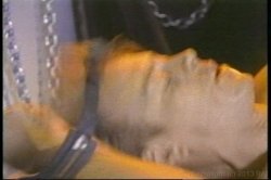 'Vivid's Greatest Tits' screenshot nº 13