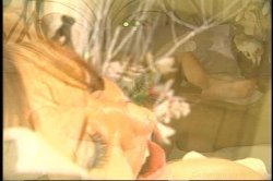 'Vivid's Greatest Tits' screenshot nº 69